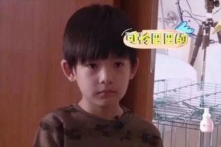 董洁和他儿子爆料视频,母子情深背后的家庭故事 第3张 董洁和他儿子爆料视频,母子情深背后的家庭故事 第3张