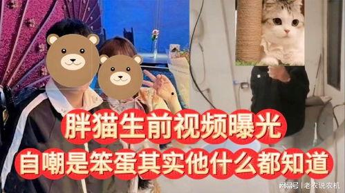 笨蛋最新爆料视频大全,视频大全背后的惊人真相 第2张 笨蛋最新爆料视频大全,视频大全背后的惊人真相 第2张