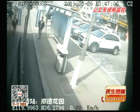 爆料青岛公交车视频播放,揭秘车厢内惊人一幕 第3张 爆料青岛公交车视频播放,揭秘车厢内惊人一幕 第3张